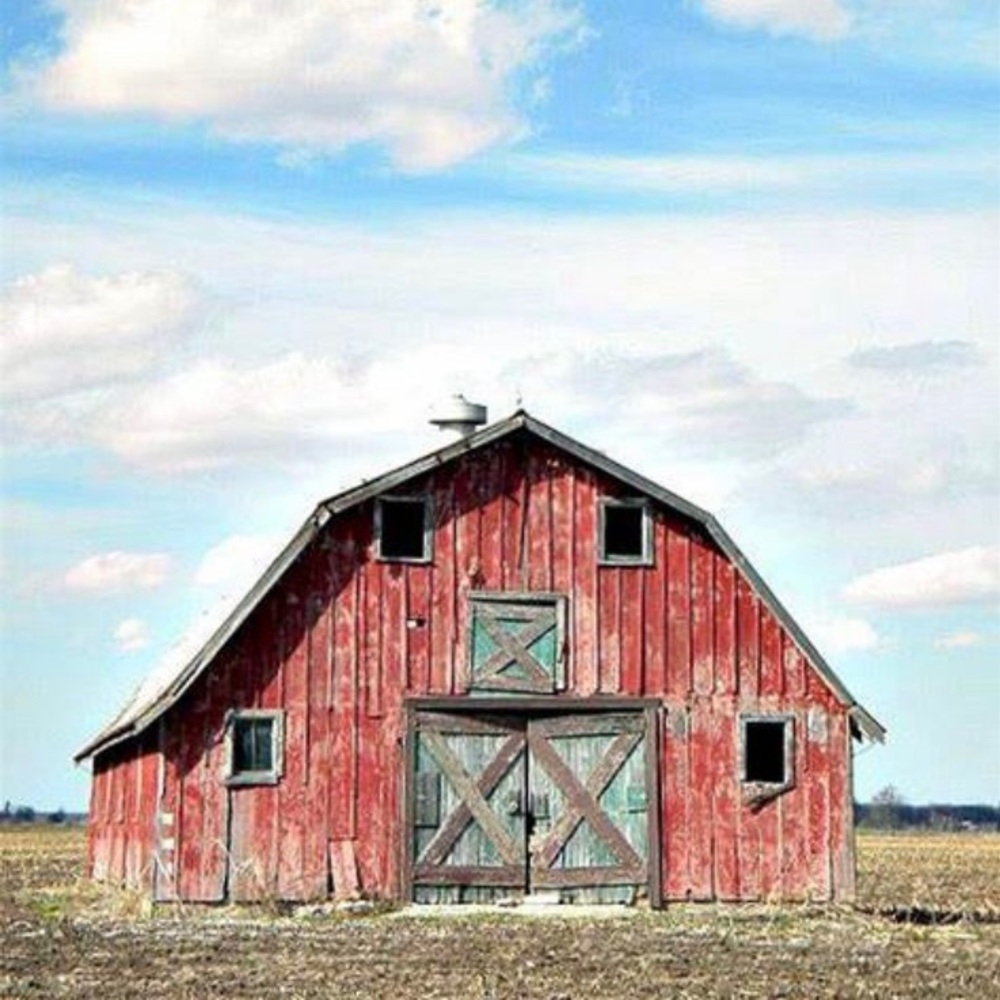 Unlisted live show item. Barn not for sale.